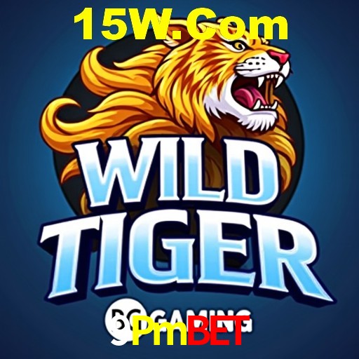Bônus Diários 9Pmbet